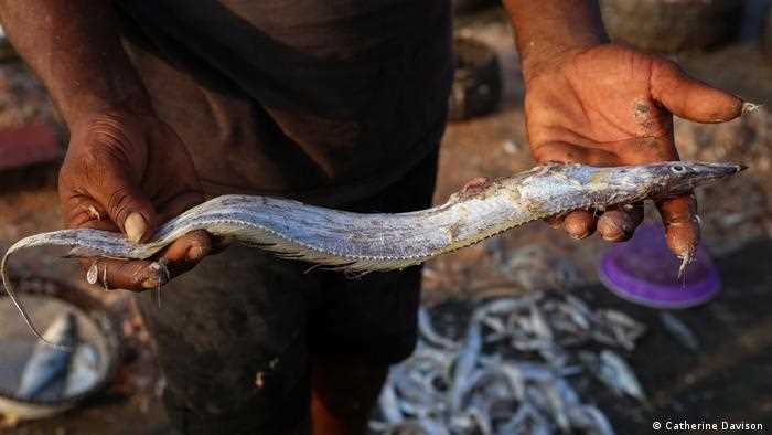 पुरानी यादों को नक्शे पर उकेरकर मुंबई को डूबने से बचाने की पहल